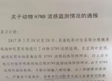 息县城郊农贸市场和白店养鸡场发现H7N9禽流感疫情！